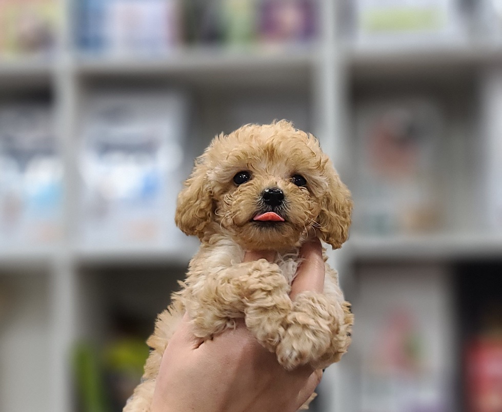 3743812211_9pRDvWPM_f85738191c833fccfdcda119fa0bb11b1b155e2c.jpg 이미지크게보기