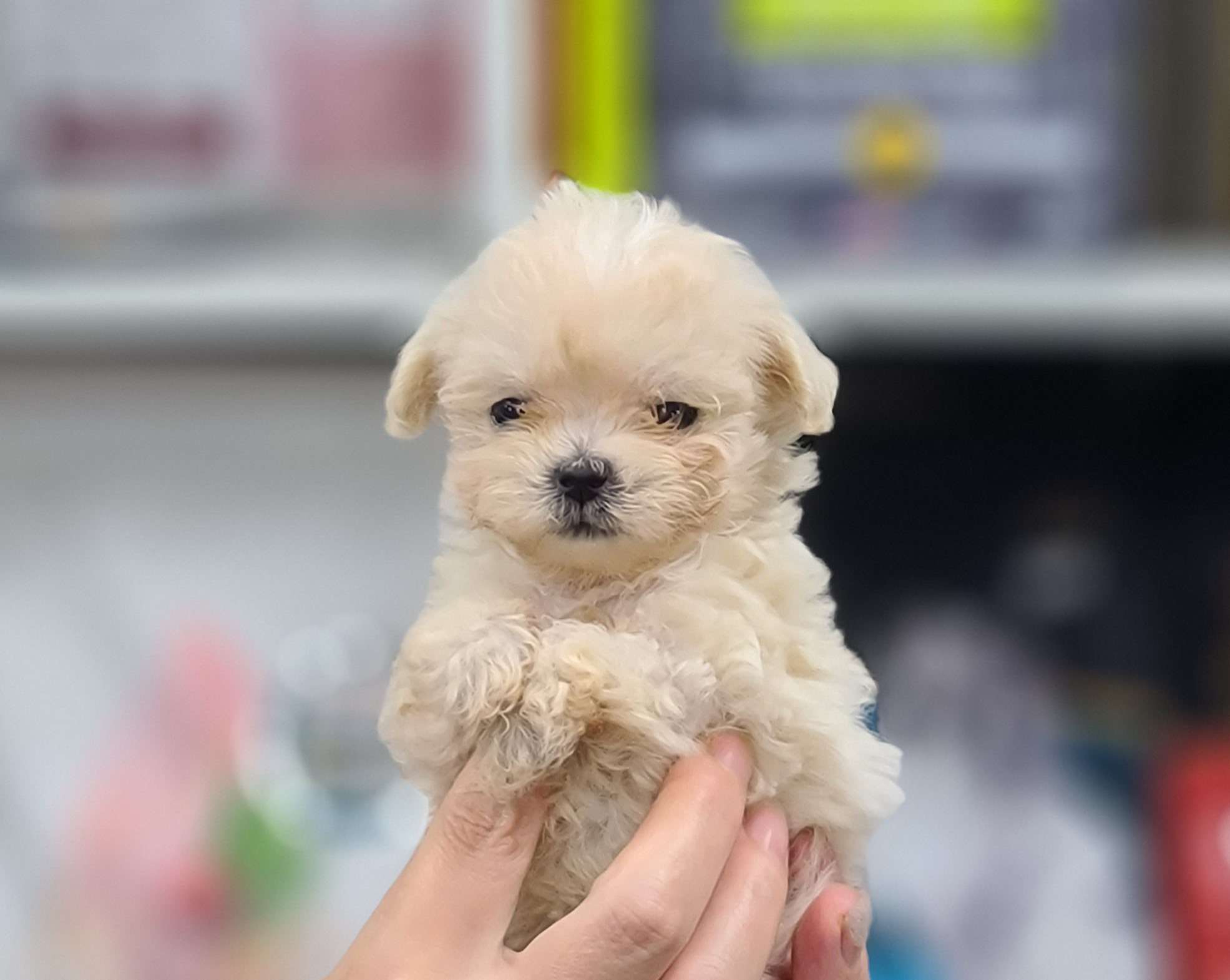 3743812462_4tDE6sKB_a48f7d9c7b5396df2bf284b5eece44b1196e02e7.jpg 이미지크게보기