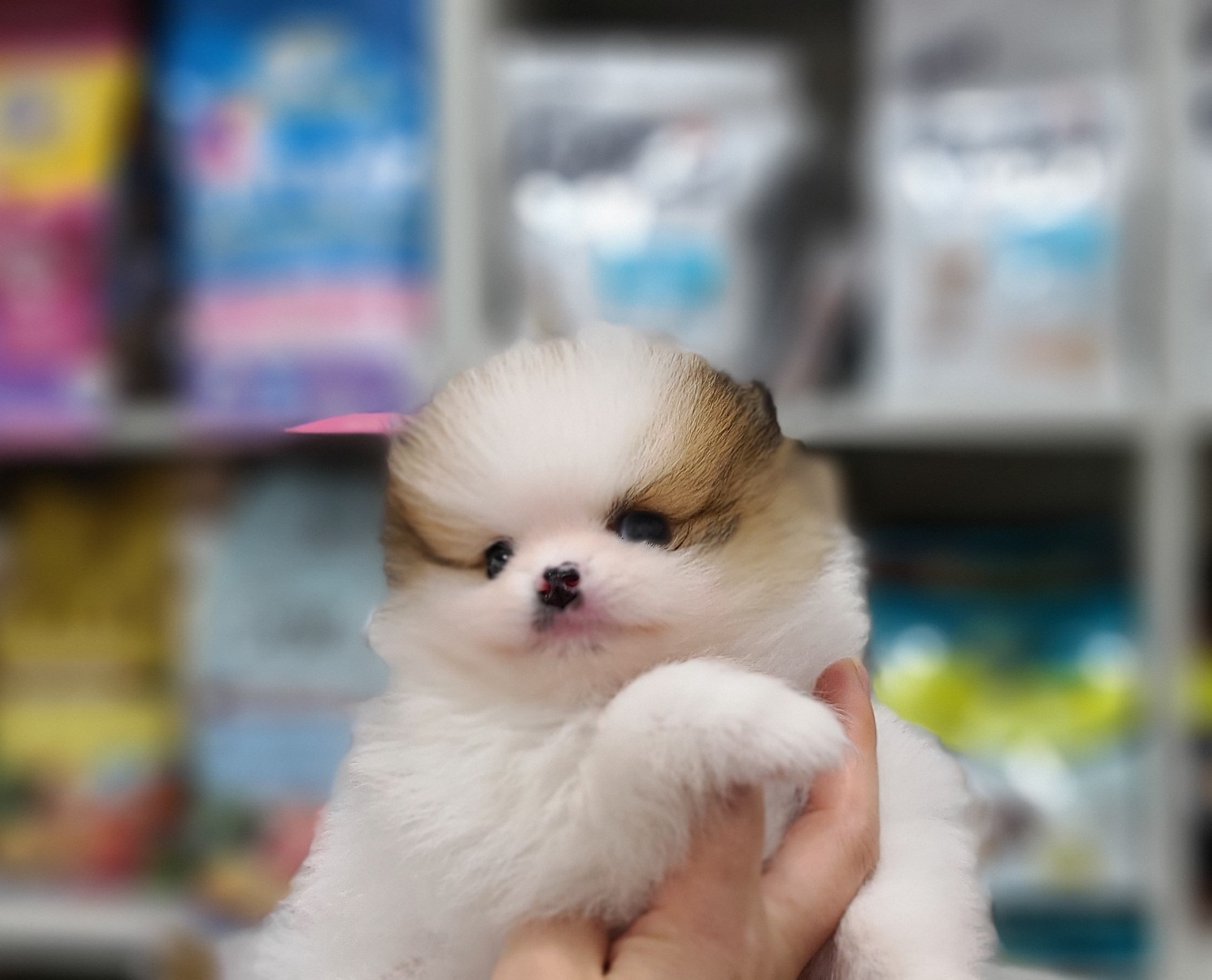 3743818343_574CvxQP_2558cdecd77182d5ffe444485ee7178afd930ddc.jpg 이미지크게보기