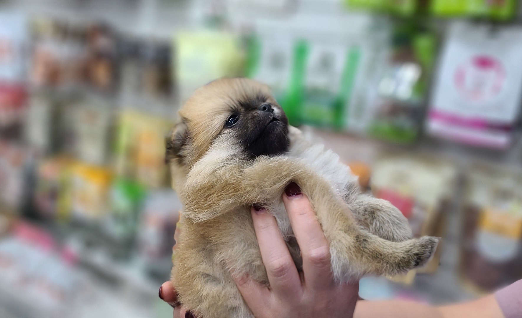 3743821397_4zVevtqT_d57312ab82000c7b2a589b20ce1fddef0cef0116.jpg 이미지크게보기