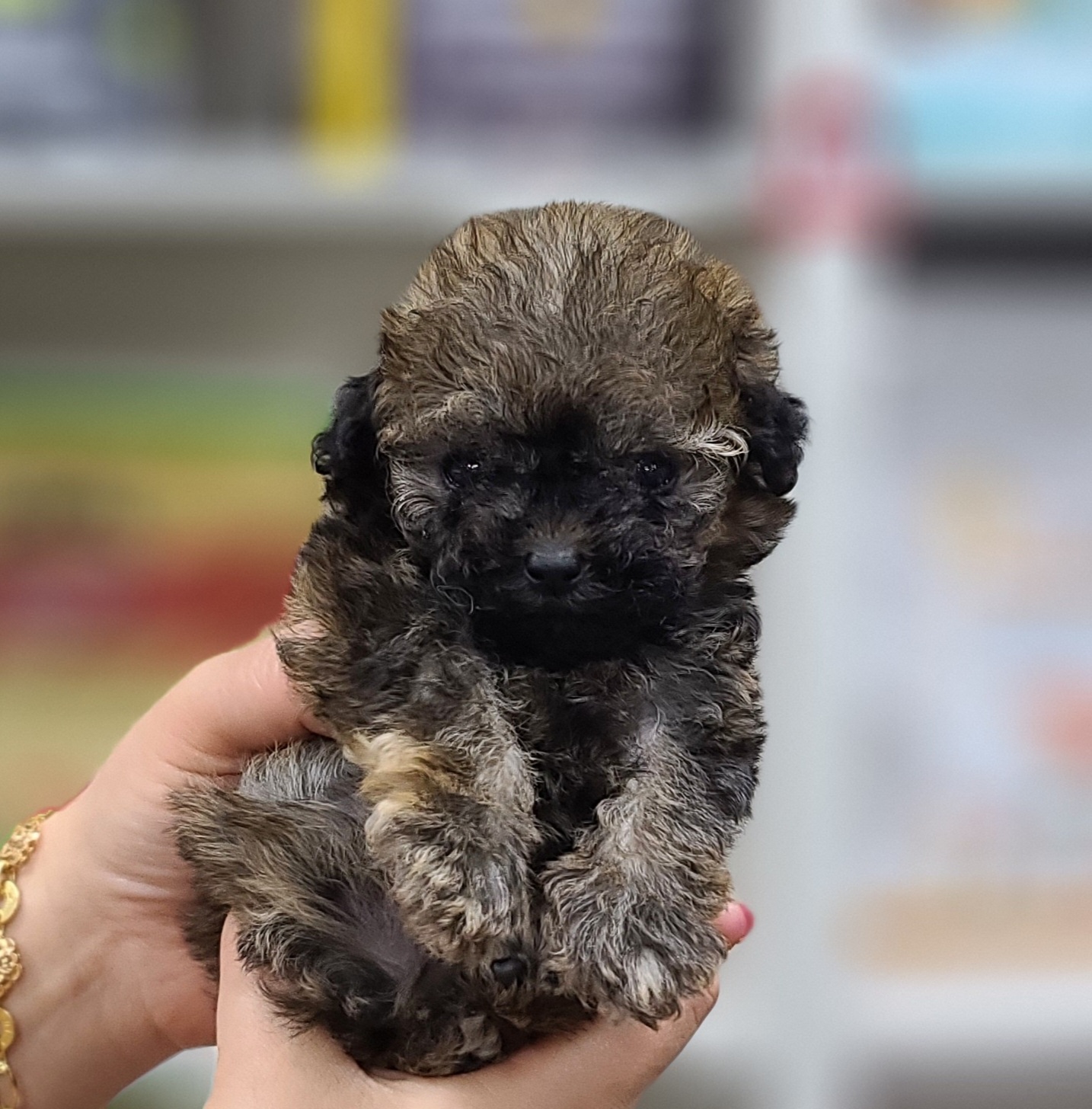 3743822681_BL7VcHYa_8c644a2b84a69b32b69b491b58810aa91240b8a6.jpg 이미지크게보기