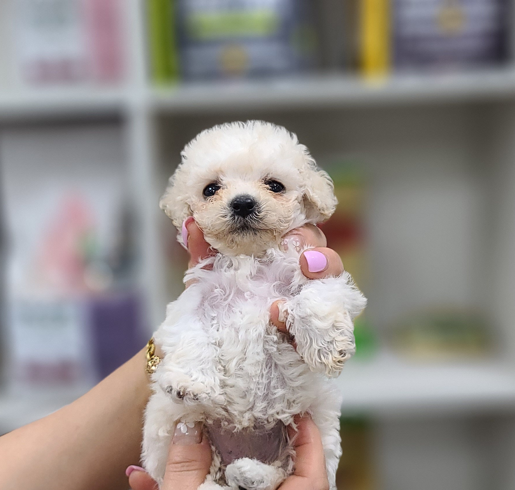 3743822681_J86jdlVA_8b27bd6df6ed2f297c319480fbfd37ceb546b3d9.jpg 이미지크게보기