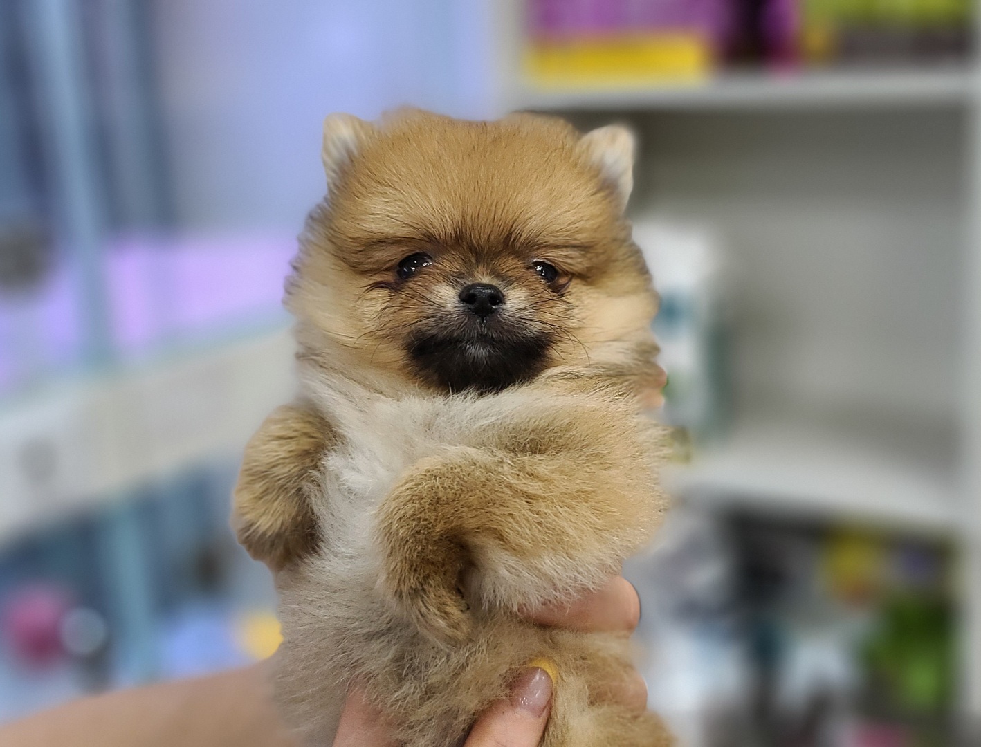 3743823456_xwGSImHv_f3d39b593bf3c5399785e221f0d5bc6254b68a45.jpg 이미지크게보기