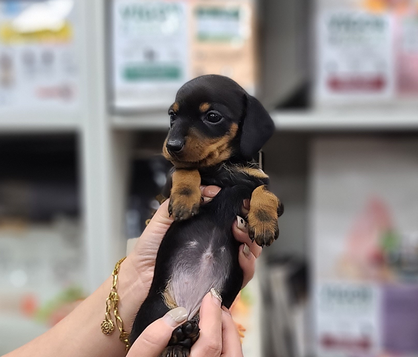 3743828085_BpRtNho6_d7a14fde8d745d238edb4f90da920dc99c6dd2e2.jpg 이미지크게보기