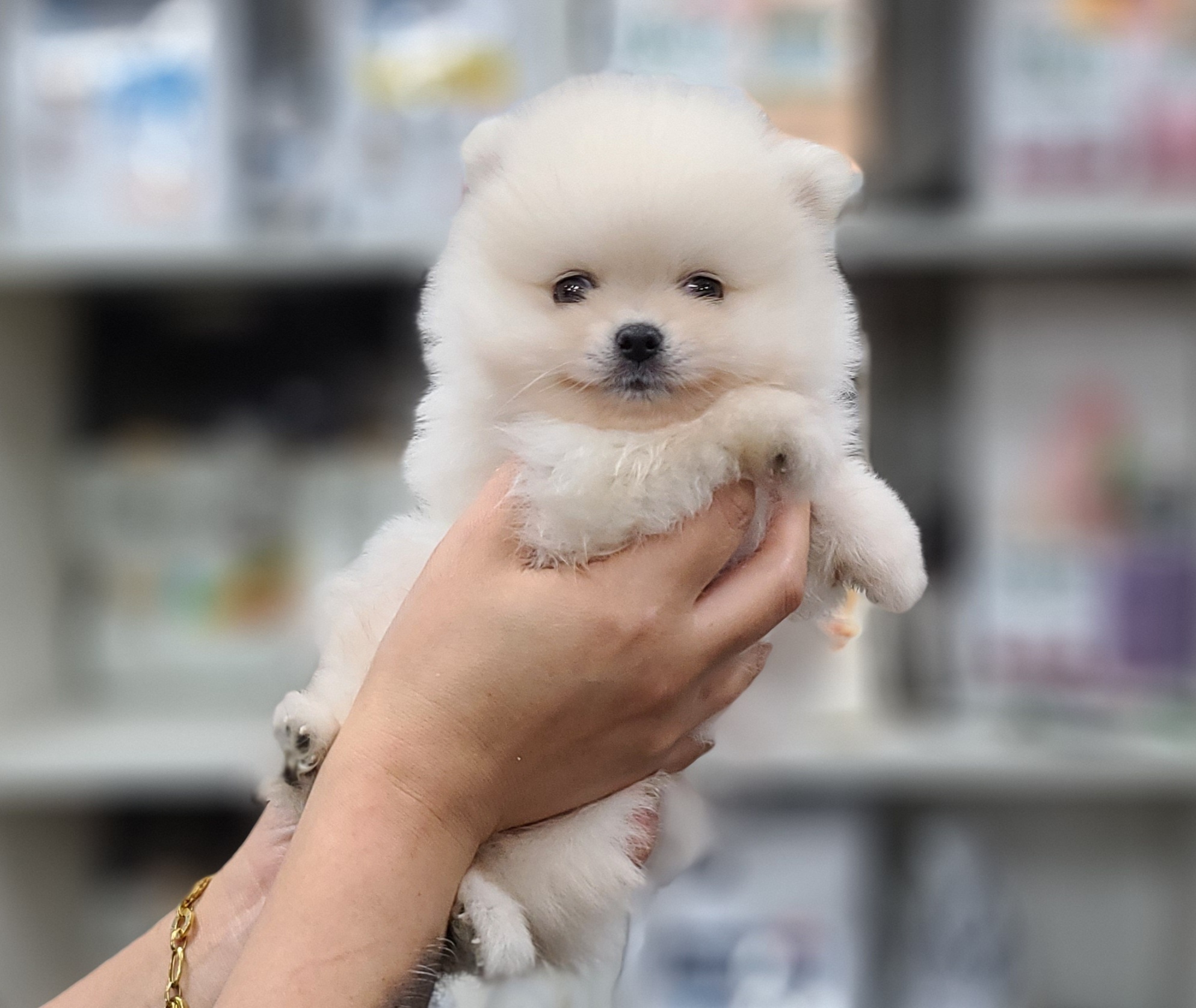 3743828085_cpsJFjtY_a22b419406c8dc1a7ca72da1848ae45999c16098.jpg 이미지크게보기