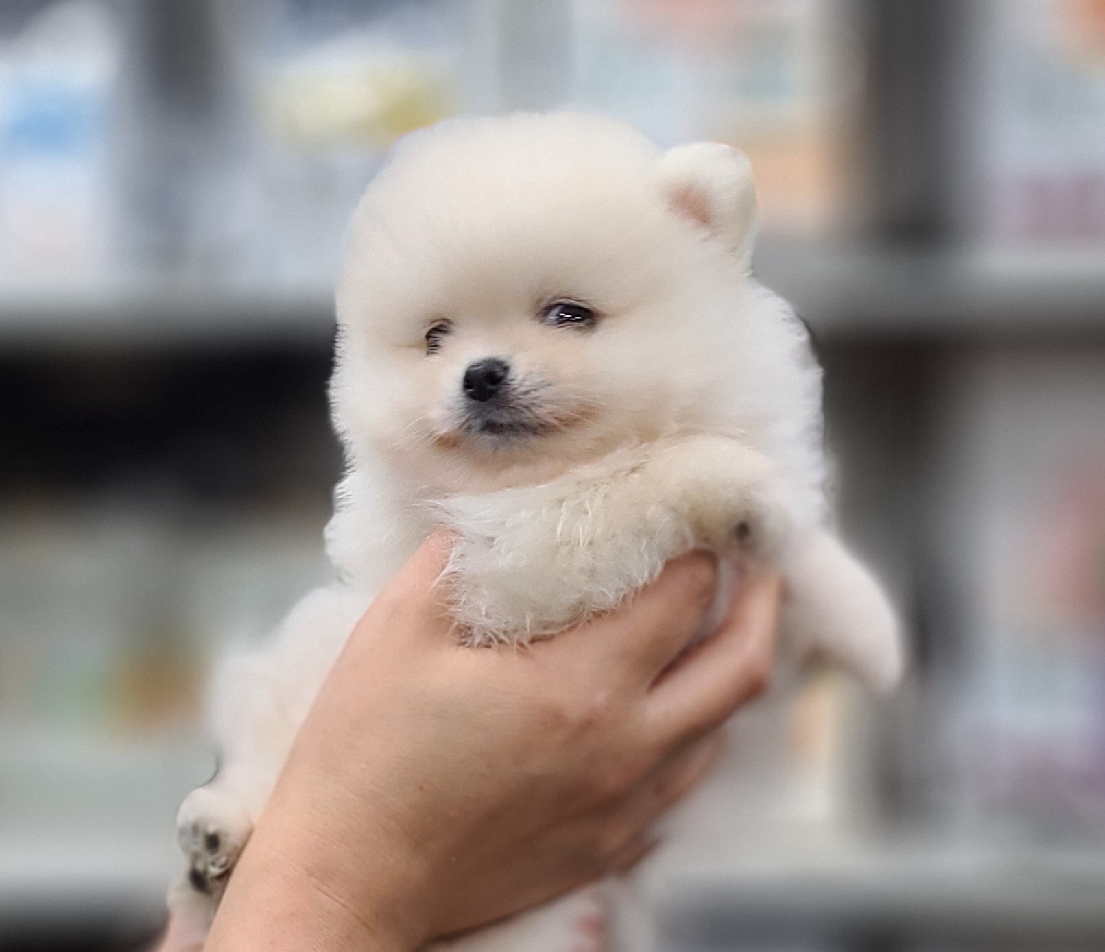 3743828085_cqTb3LpD_629e1e2bb51dbd09438203c106657d5510704e94.jpg 이미지크게보기