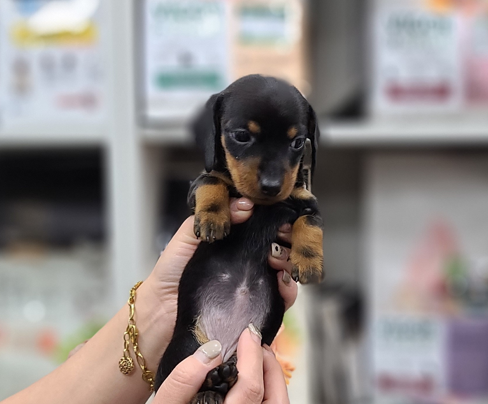 3743828085_nHyOIUoF_0f21095be728f2dee67ed637d09a45dd89ad3dca.jpg 이미지크게보기