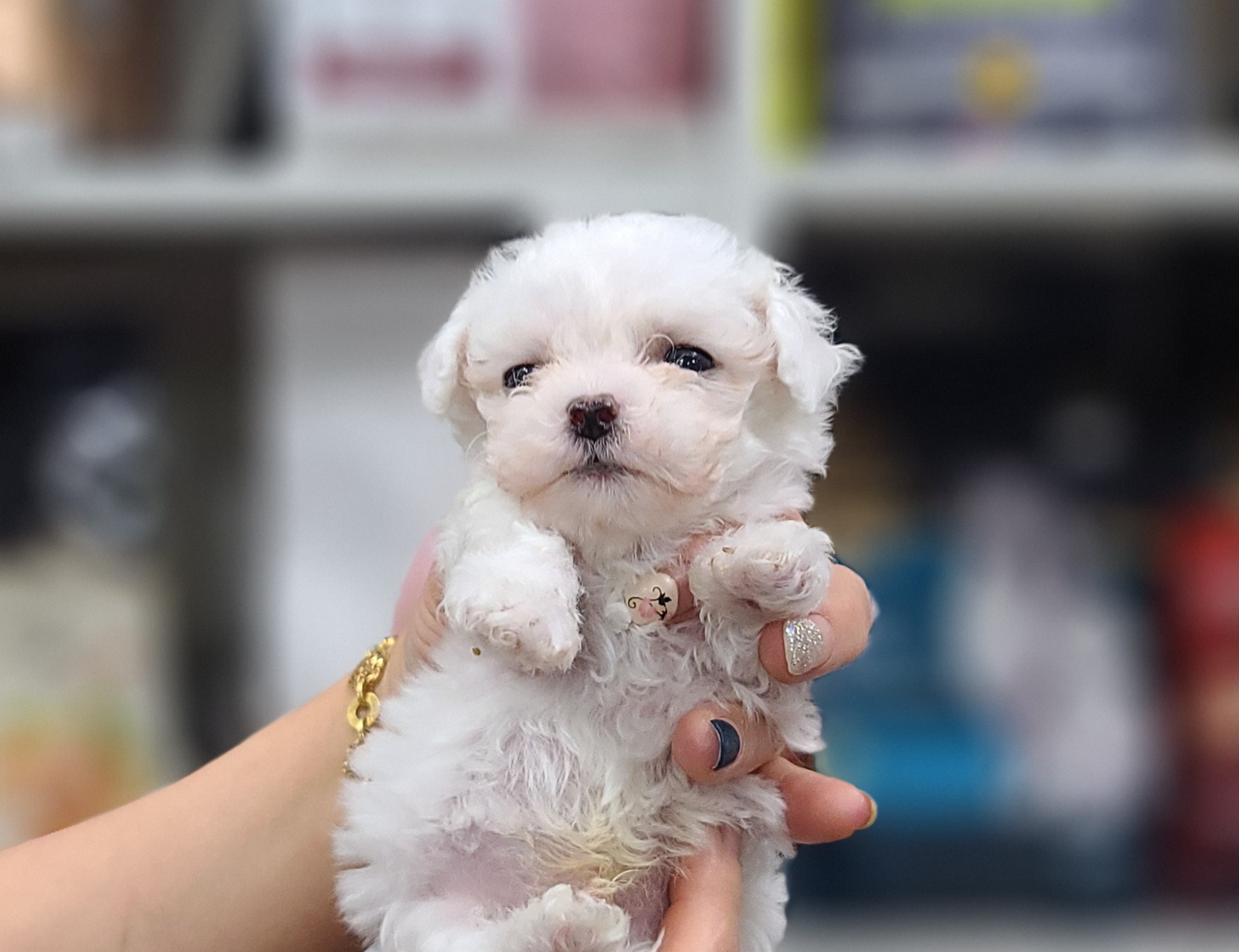 3743828319_ay6o0JzA_2b21bf5b7a0b269cf83ca3f3c81bad66673e796f.jpg 이미지크게보기