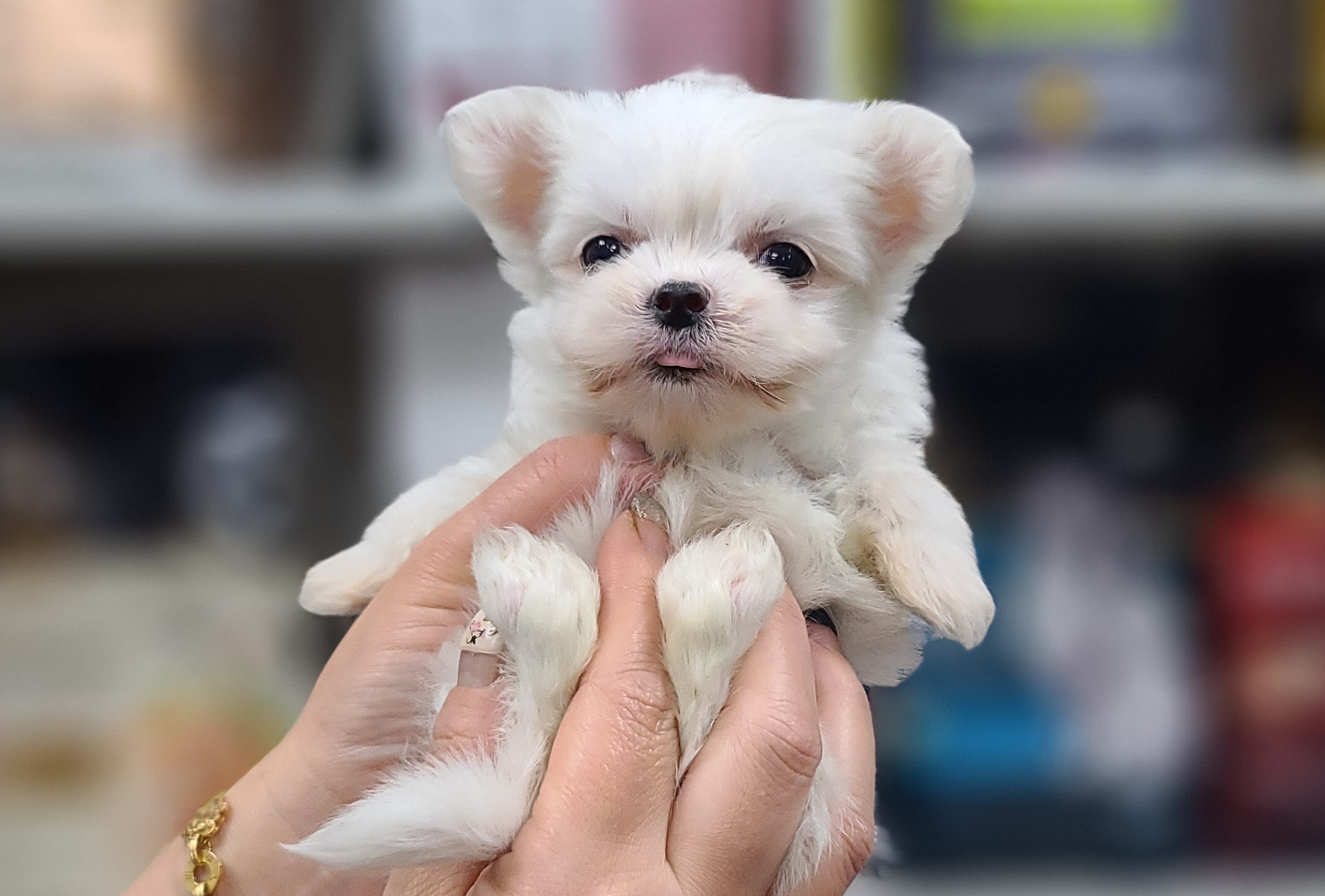 3743828319_z794IkWD_e5e3cb1359defaad2d52bc043db4c72fb71db94d.jpg 이미지크게보기