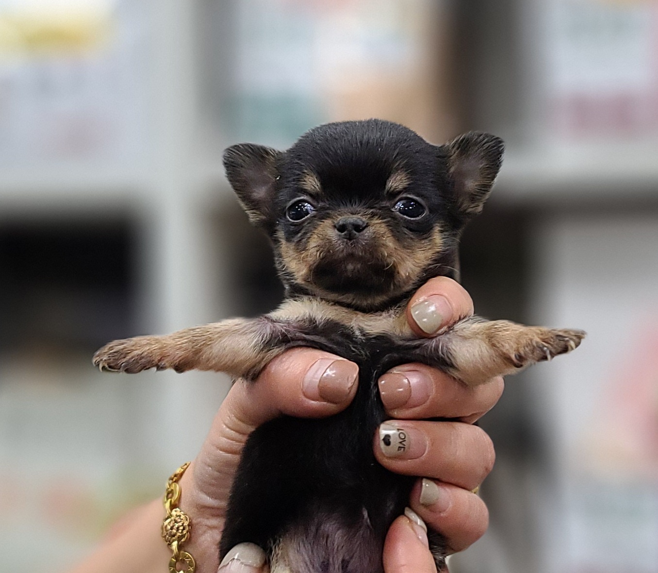 3743828383_HU9uEqOL_a2c949f0272f71123265ea4758da34abe04e2141.jpg 이미지크게보기