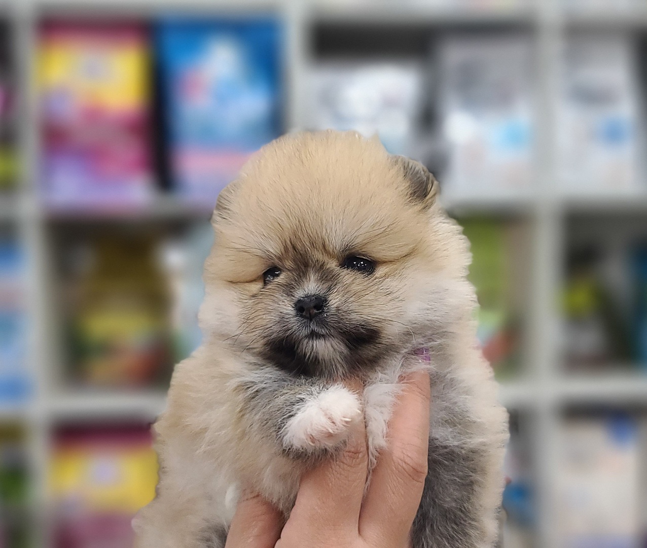 3743926505_YZ6isMRl_9e7ae311a07519d7a44388aaa58df78500c7c91e.jpg 이미지크게보기