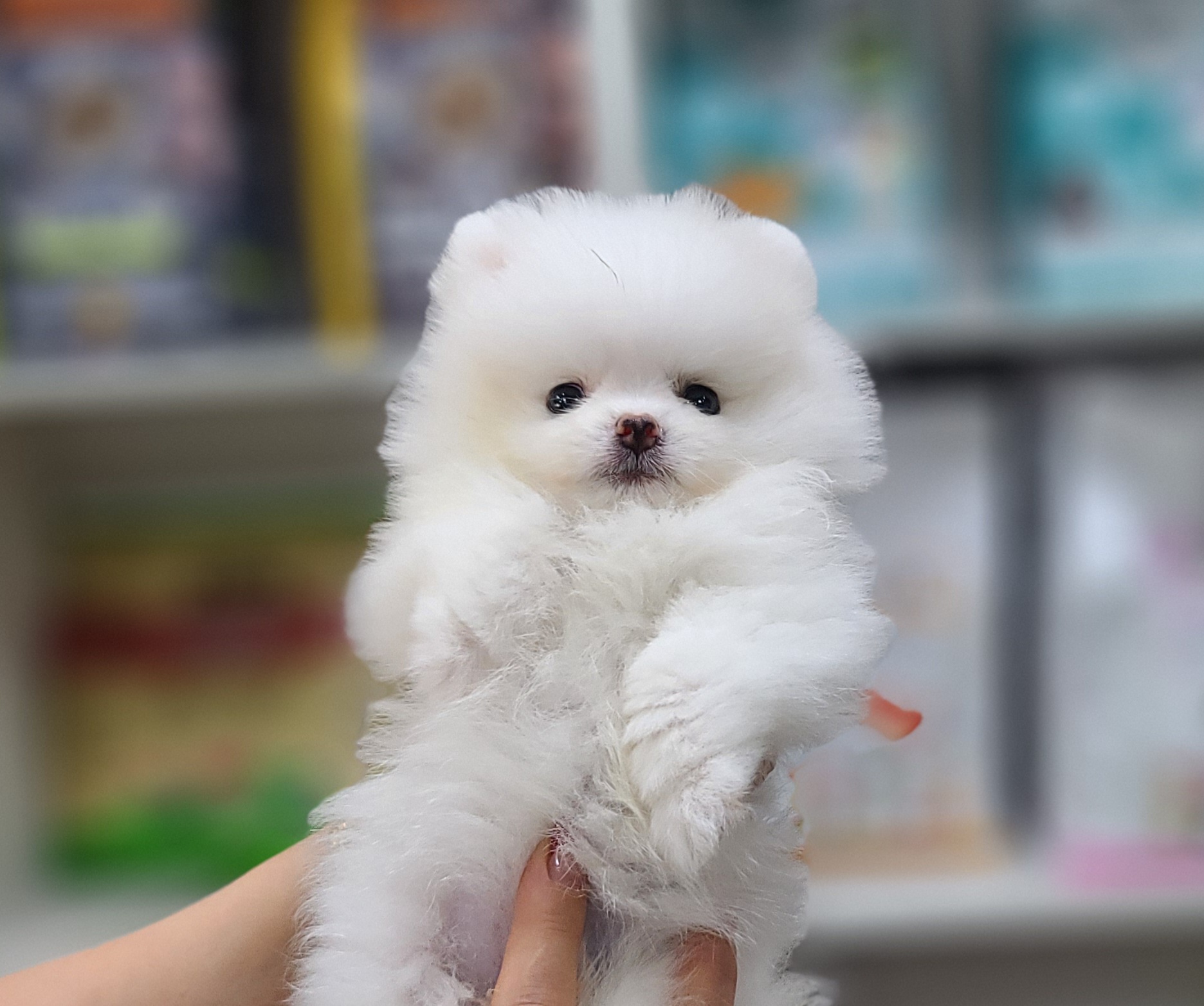 3743930994_GaEwO8e0_3b539368110b8837126d489107af5d91d6059602.jpg 이미지크게보기