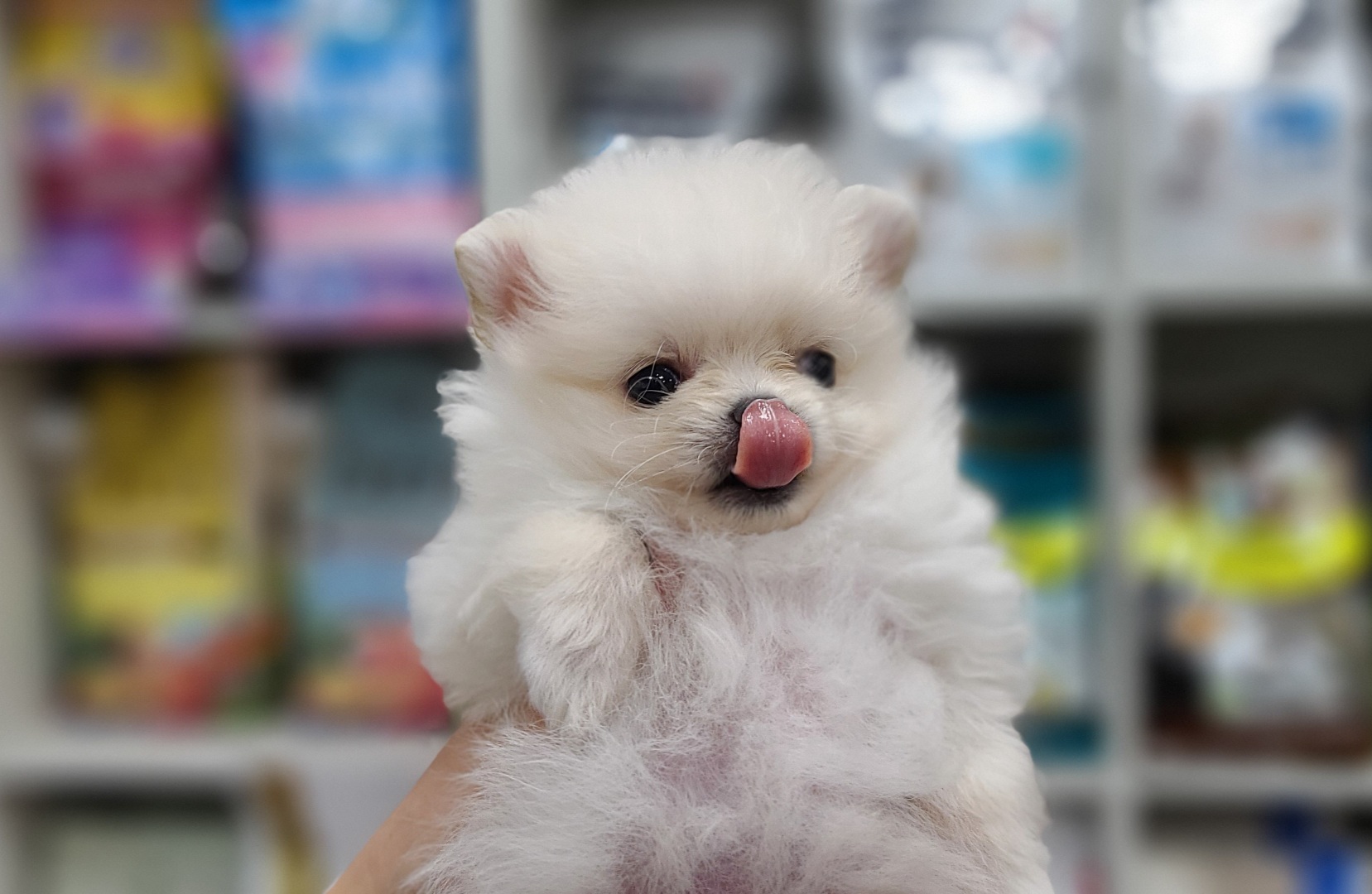 3743931290_XoOyfT2C_0c9fe4917bcb55c9866d405b0e8aeb70550ba02d.jpg 이미지크게보기