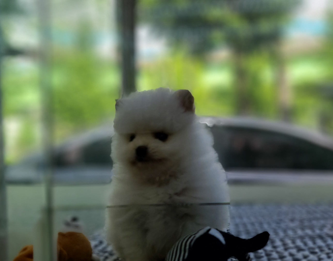3743931290_yoEtNmgB_0c5b0b2b67fd934f64240637d409646f8923a56b.jpg 이미지크게보기
