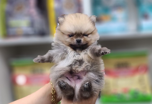 thumb