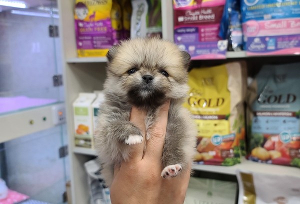 thumb