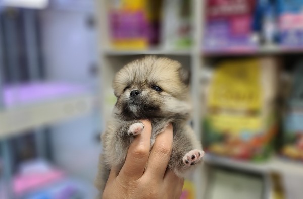 thumb