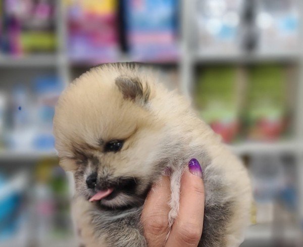 thumb