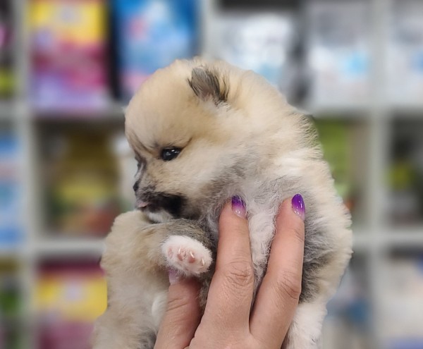 thumb