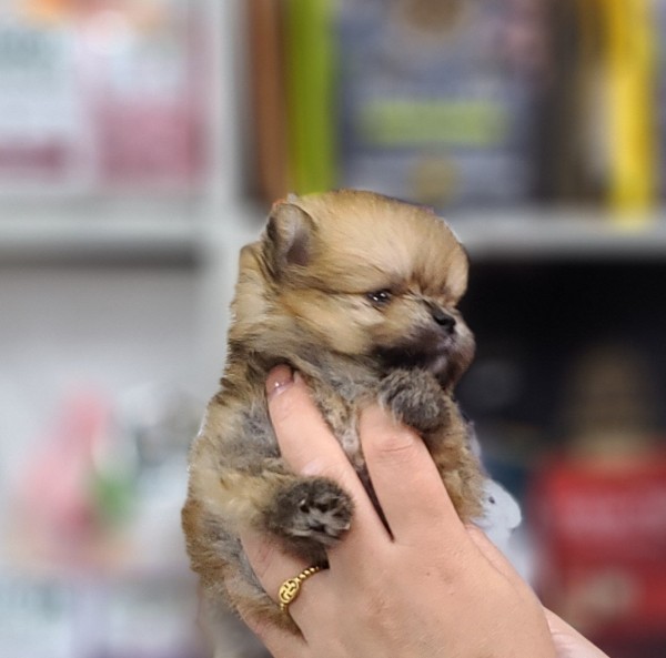 thumb