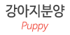 강아지분양