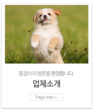 똥강아지_메인링크_업체소개