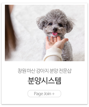 똥강아지_메인링크_시스템