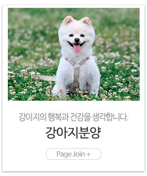 똥강아지_메인링크_강아지