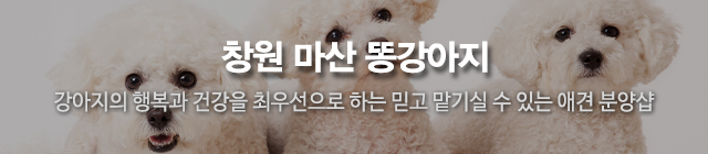 똥강아지_모바일