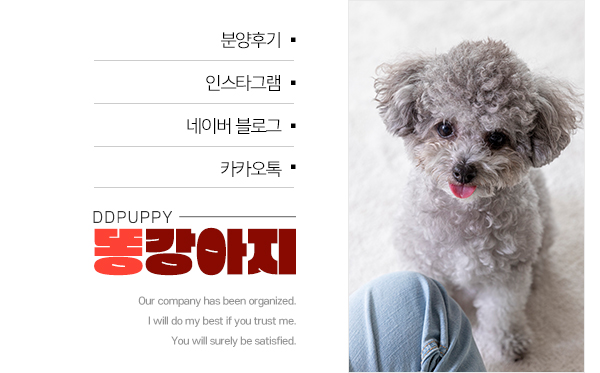 똥강아지_고객센터_왼쪽