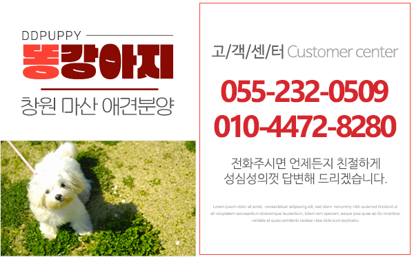 똥강아지_고객센터_오른쪽