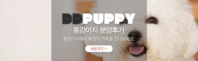 똥강아지_링크_모바일