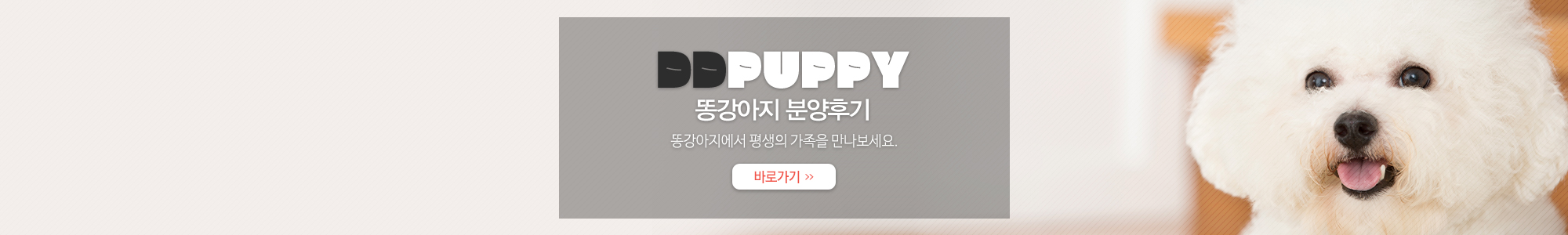 똥강아지_링크_PC