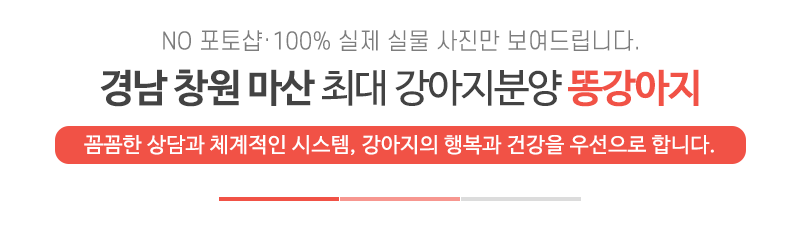 똥강아지_상단문구_문구