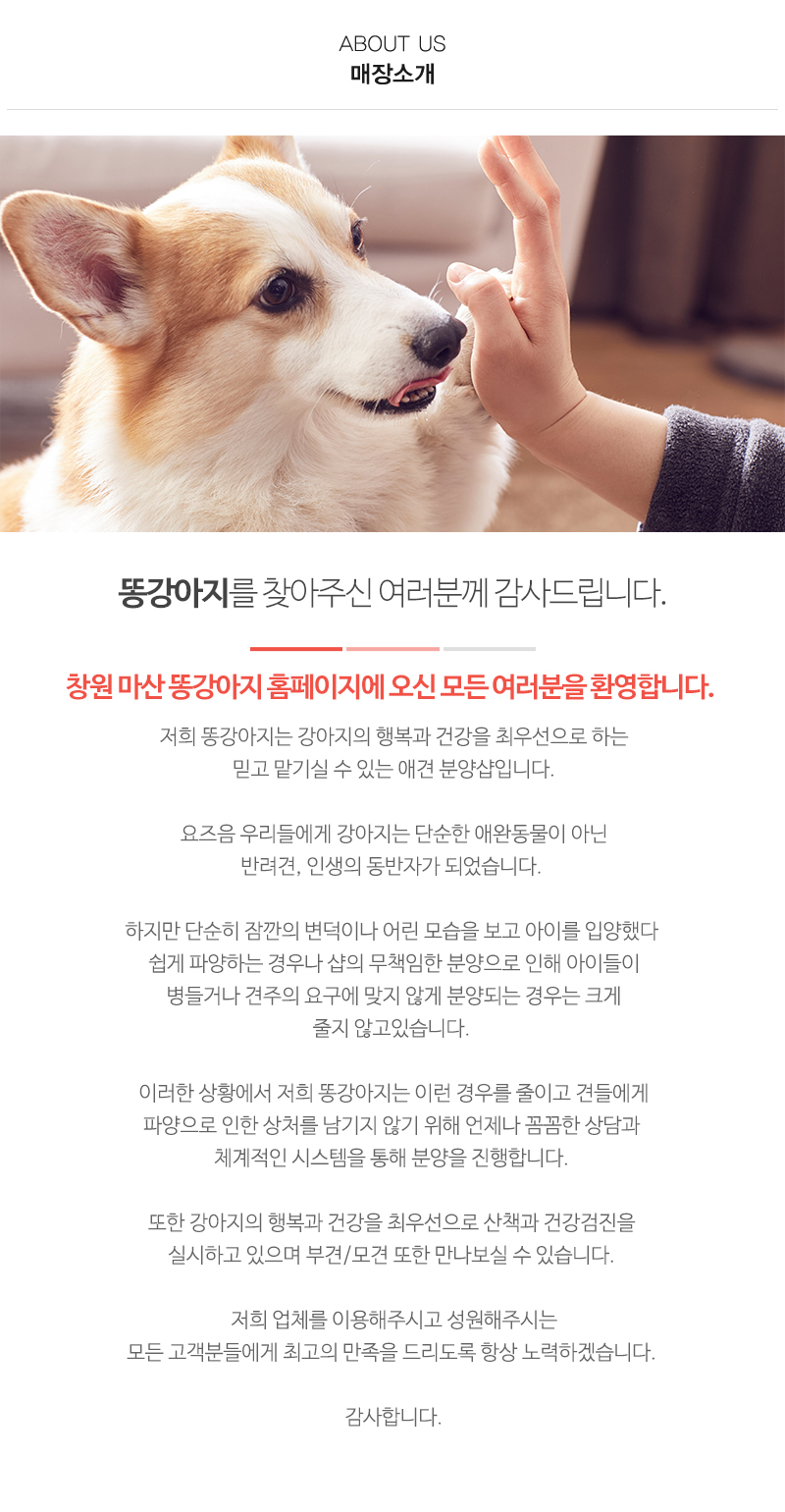 똥강아지_내용